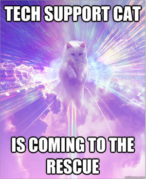 Tech Support Cat Meme