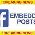 FB Embedded Posts